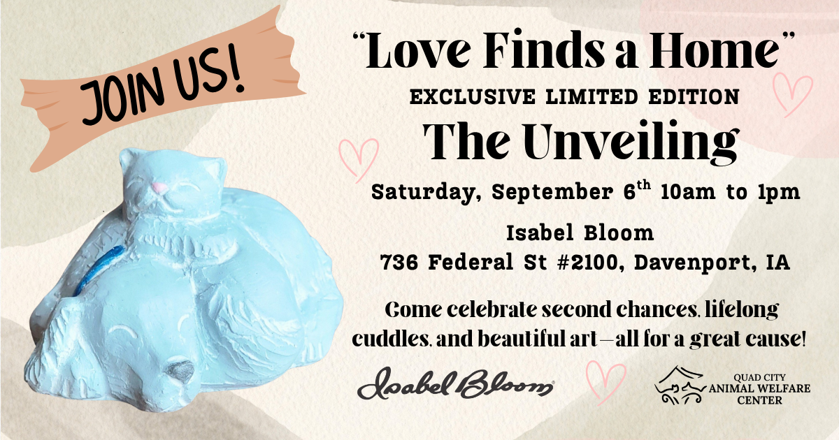 Isabel bloom facebook post updated